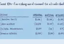 A Comprehensive Review of HIBT Cash Flow Statement: Insights for Investors
