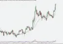 HIBT Stock Chart Candlestick Analysis: A Comprehensive Guide for Investors