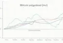Understanding Bitcoin Market Participant Behavior