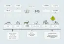 HIBT Yield Farming Strategies