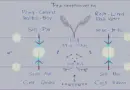 Understanding HIBT Order Flow Imbalance
