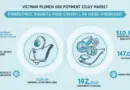 Vietnam Crypto Payment Gateway Investment Case Studies