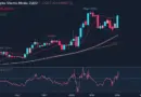 Understanding HIBT Crypto Options Implied Volatility Charts