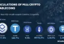 Crypto Stablecoin Circulation Statistics: A Look at Trends