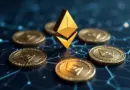 Ethereum Property Insurance Tokens: A Guide to Innovations in the Insurance Sector