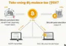 Bitcoin Property Tax Calculations Revealed