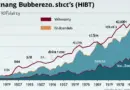 Navigating the Vietnam Stock Market Bubbles and HIBT Crypto Bubbles