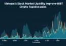 Enhancing Vietnam Stock Market Liquidity with HIBT Crypto Trading Pairs