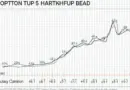 HIBT Crypto Stock Market: Growth Insights