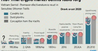Vietnam HIBT Crypto: Growth vs Income Stocks