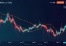 Understanding HIBT Crypto Stocks Beta Coefficient