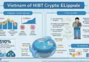 Vietnam Stock Market Liquidity: Understanding HIBT Crypto Slippage