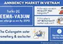 Vietnam HIBT Crypto and Growth vs Income Investing