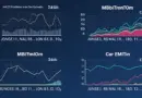 Vietnam HIBT Crypto: Navigating Momentum vs Value