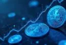 Vietnam HIBT Crypto and Blue: Trends in 2025