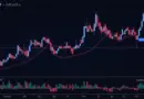 HIBT Bitcoin Price Chart: Insights for Investors