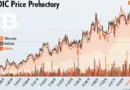 HIBT Bitcoin Price Prediction: What Lies Ahead