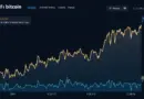 Analyzing HIBT Bitcoin Price Trends