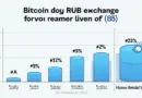 Navigating the Bitcoin to RUB Exchange HIBT in 2025