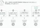 2025 Bitcoin to KRW Exchange HIBT Trends