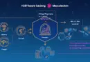 2025 HIBT Bond Exchange Platforms: Navigating Cross-Chain Interoperability
